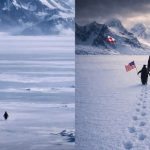 The official White House social media account shared an AI-generated image showing Trump walking next to a penguin. (X/@AMAZlNGNATURE and @WhiteHouse)