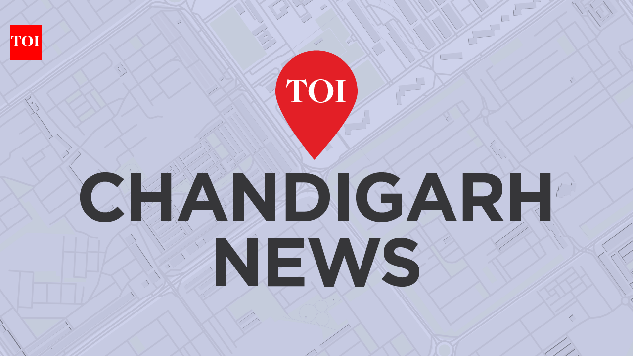 3 booked for killing man over old enmity in Fazilka | Chandigarh News – The Times of India