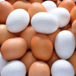 White eggs or brown eggs, which one is more nutritious?