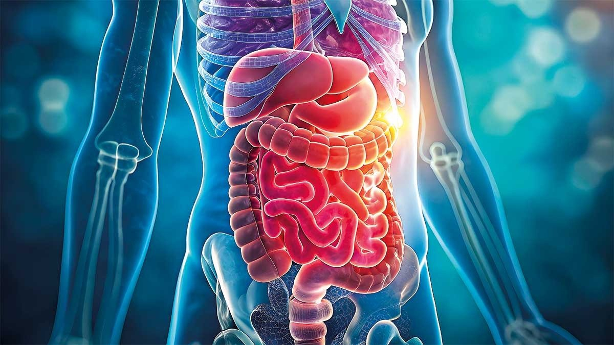 Your diet shapes 92% of gut microbiome, landmark study finds