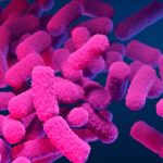 Typhoid fever, caused by the bacterium Salmonella Typhi, spreads through contaminated food or water. (Photo: Getty Images)