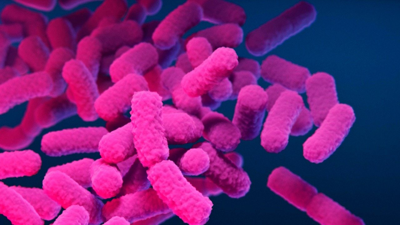 Typhoid fever, caused by the bacterium Salmonella Typhi, spreads through contaminated food or water. (Photo: Getty Images)