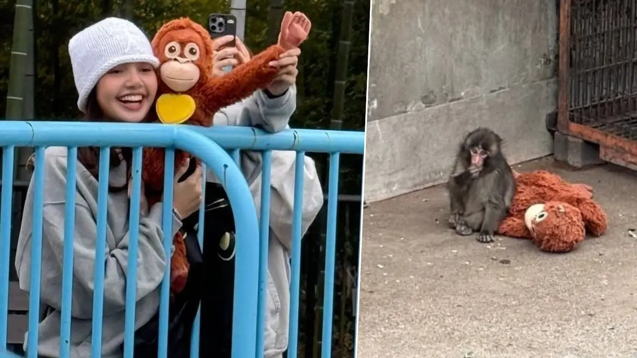 In Pics: BLACKPINK LISA Visits Viral Monkey Punch In Japan, Touching Moments Win The Internet