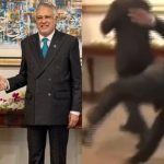 After the quadrilateral consultations, Pakistan minister Ishaq Dar also briefed the visiting dignitaries on the prospects of potential US-Iran talks in Islamabad. (Reuters/X)