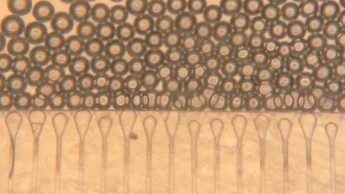 MIT researchers create injectable mini-livers that can support a failing liver