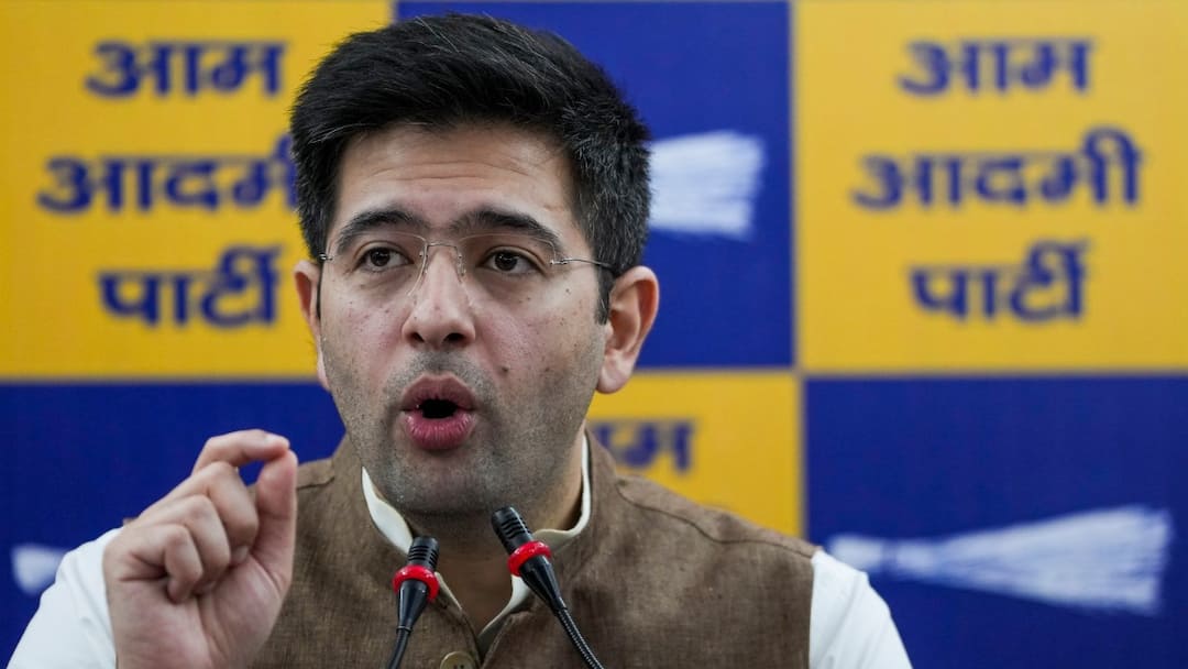 आम आदमी पार्टी ने राघव चड्ढा पर इन 3 वजहों से लिया एक्शन! अब क्या करेंगे राज्यसभा सांसद?