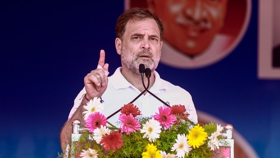 Congress leader Rahul Gandhi addresses a public meeting in support of party candidates ahead of the West Bengal Assembly elections, at Colachel in Kanniyakumari. (PTI)