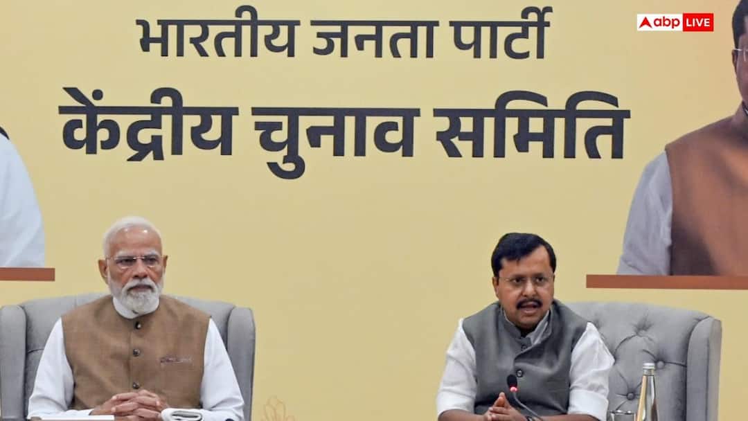 Punjab Elections 2027: पंजाब में बीजेपी अकेले लड़ेगी चुनाव या करेगी गठबंधन? हाईकमान ने साफ कर दी तस्वीर