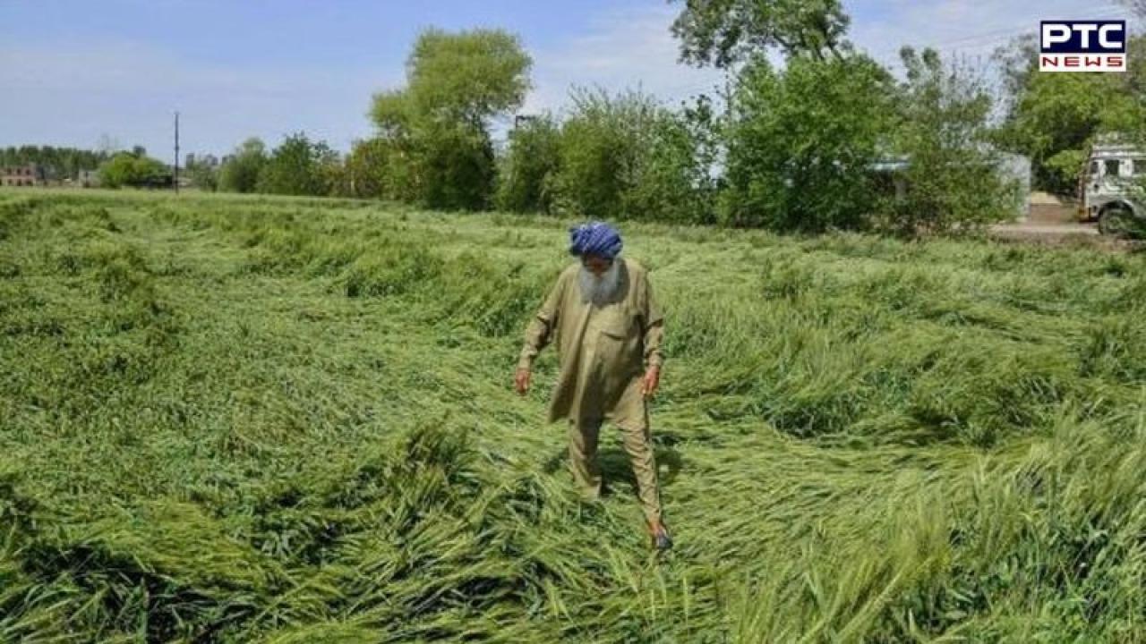 ਗੜ੍ਹੇਮਾਰੀ ਨਾਲ ਖਰਾਬ ਫ਼ਸਲਾਂ; ਪੰਜਾਬ ਸਰਕਾਰ ਨੇ ਮੁਆਵਜ਼ੇ ਲਈ 123.28 ਕਰੋੜ ਰੁਪਏ ਕੀਤੇ ਮਨਜੂਰ