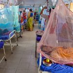 Dengue surge: Can a vaccine break India’s cycle?