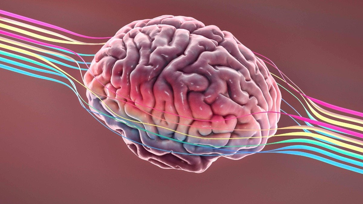 Vitamin D in midlife linked to lower alzheimer’s marker years later: Study