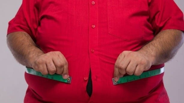 An estimated 25.4 crore Indians have obesity while 35.1 crore others have abdominal obesity