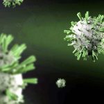 ICMR warns as all 4 dengue virus strains spread across 8 Indian states