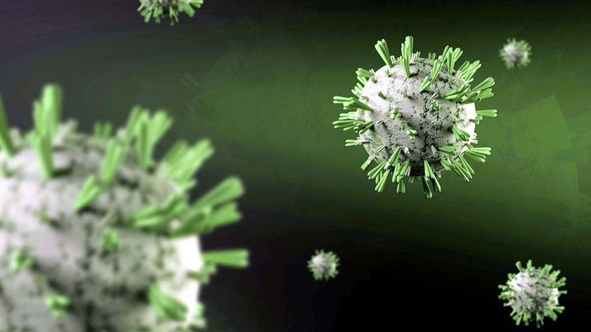 ICMR warns as all 4 dengue virus strains spread across 8 Indian states