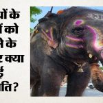 Wildlife Conflict: गजराज होंगे सुरक्षित, गांव भी बचेंगे; क्या इंसान-हाथियों के टकराव को रोक पाएगी ये योजना?