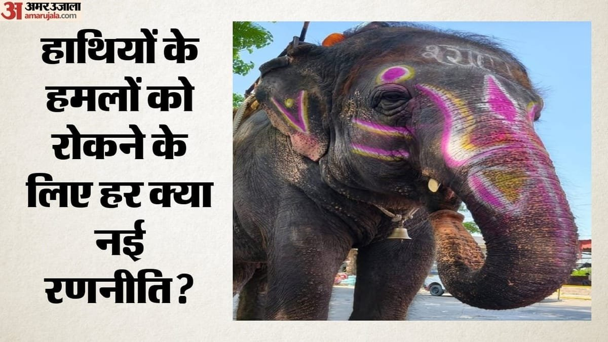 Wildlife Conflict: गजराज होंगे सुरक्षित, गांव भी बचेंगे; क्या इंसान-हाथियों के टकराव को रोक पाएगी ये योजना?