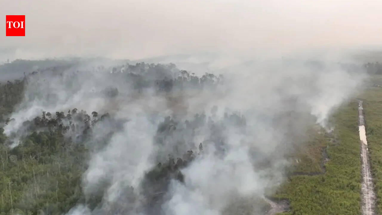 Photo 1787521397 5858