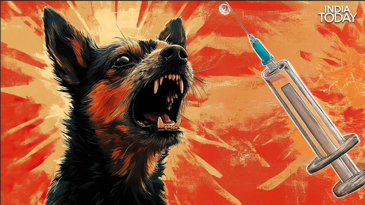 India reports over 5,700 rabies deaths annually