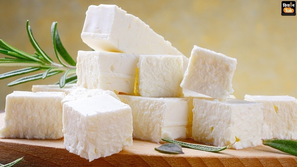 Health, labelling concerns: Why FSSAI wants to ban analogue paneer