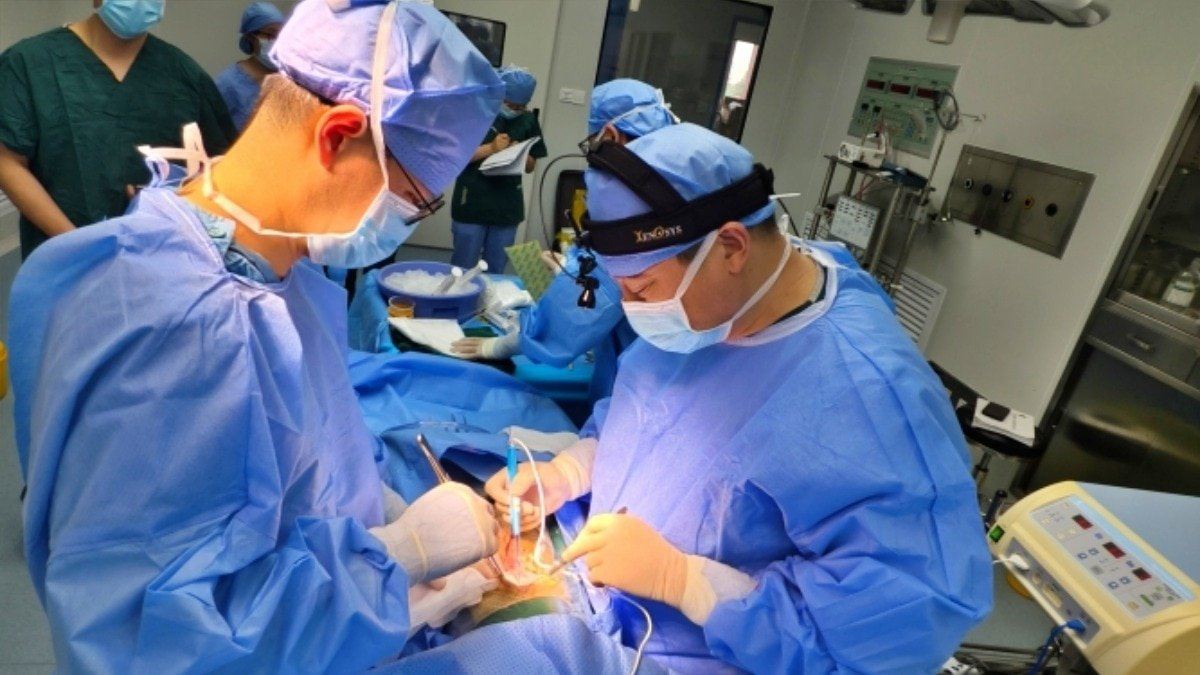 Pig to human organ transplants: Delhi hospital sets India’s first dept, Govt working on rules