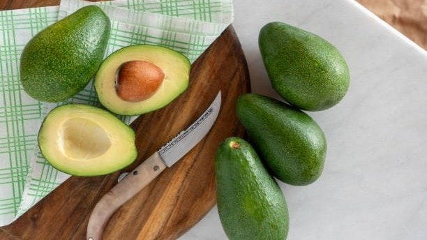 PM Modi praises Indian avocados: Why it deserves a spot on your plate