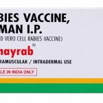 Australia flagged fake rabies vaccine months before India’s latest alert