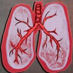 Can your everyday lifestyle affect your lung cancer risk?