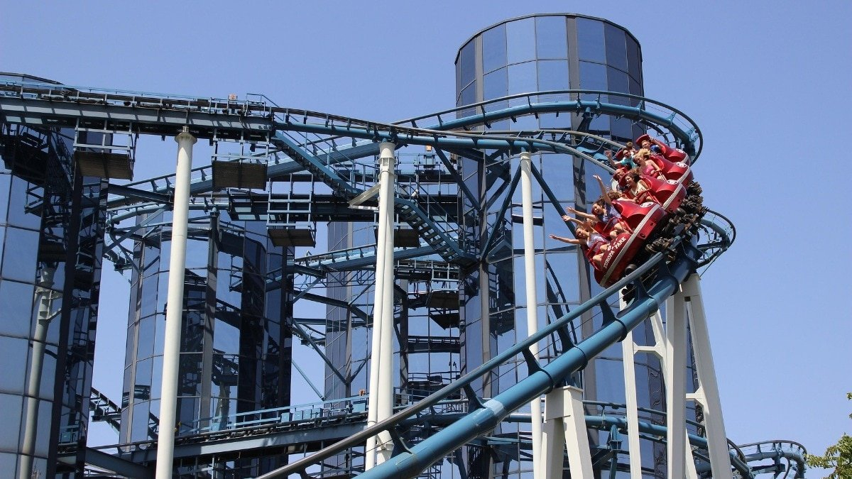 Neurologist on roller coaster brain risk