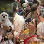 Sunita Ahuja Reacts To Govinda’s Visit To Lalbaugcha Raja With Rumoured Girlfriend Komal Rani, Says ‘Dhokebaaz Hote…’