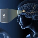 How Nobel-winning optogenetics is moving from labs to blindness therapy – in India and abroad